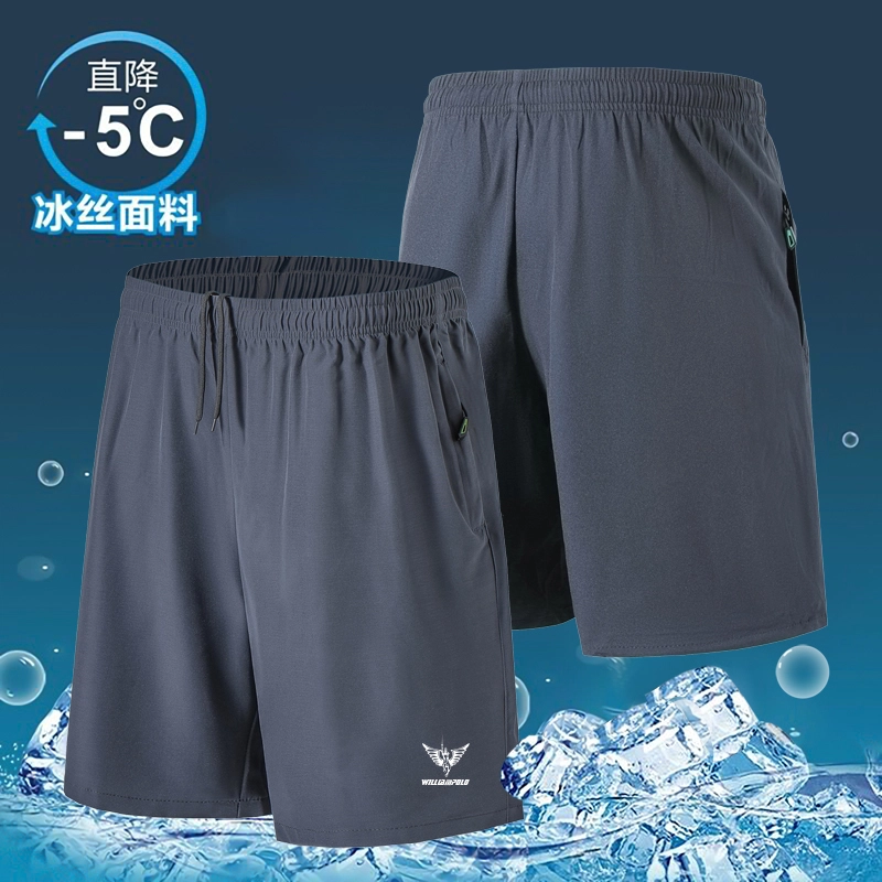 WilliamPOLO 5