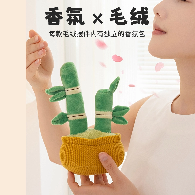 20CM