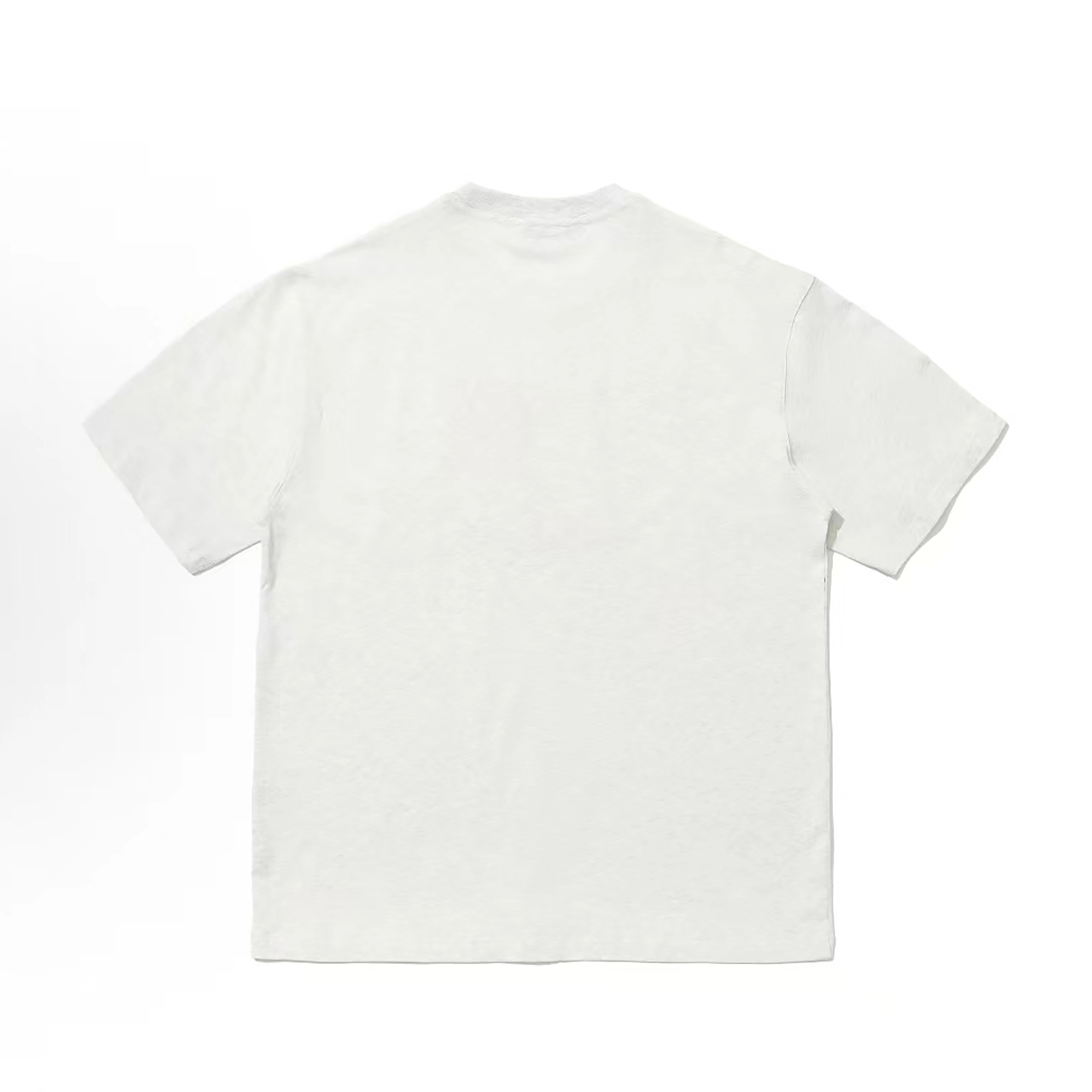 PAINT STAIN T