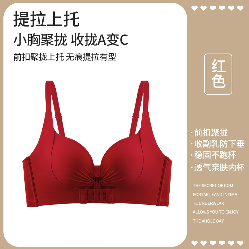 黛尔佳人 内衣女小胸聚拢显大前扣提拉收副乳防下垂无痕胸罩文胸 女款