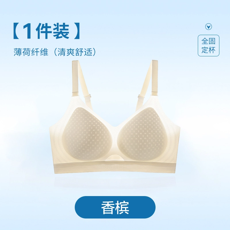 黛尔佳人 无痕舒适内衣女士小胸聚拢夏天薄款夏季无钢圈冰丝凉感透气胸罩文胸 女款