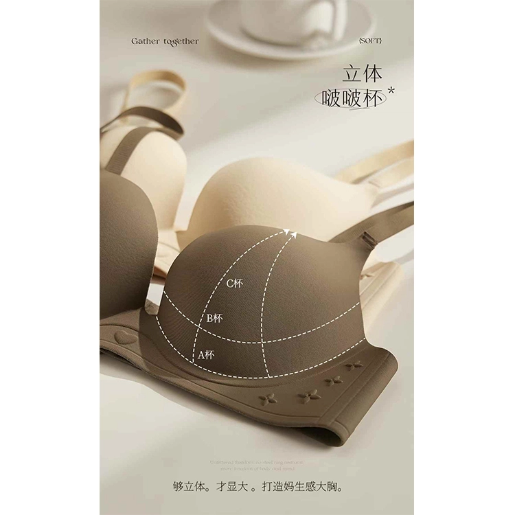 黛尔佳人 无痕内衣女士小胸聚拢显大上托收副乳防下垂无钢圈平胸专用胸罩文胸 女款