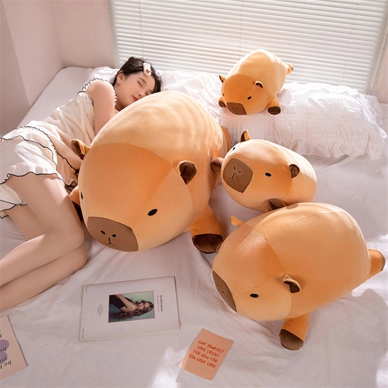 40cm50cm