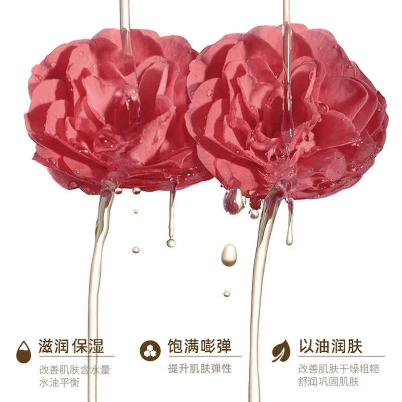 致朵山茶花植萃安肤油 保湿清爽滋润补水