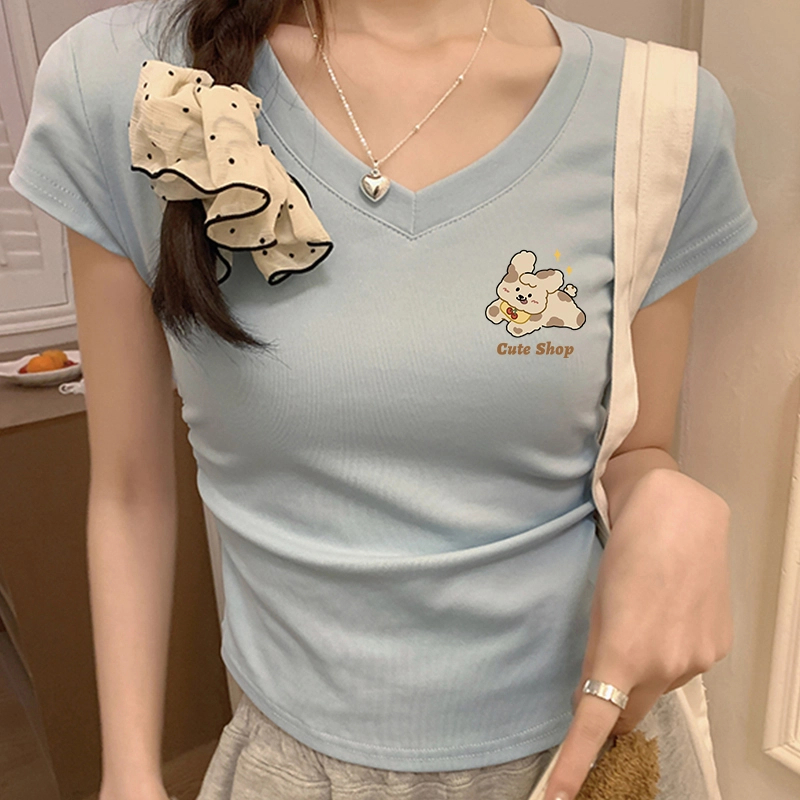 VMIU T