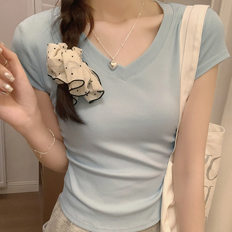 VMIU T