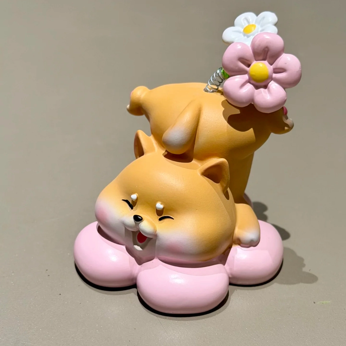 PUDOWRABBIT 6