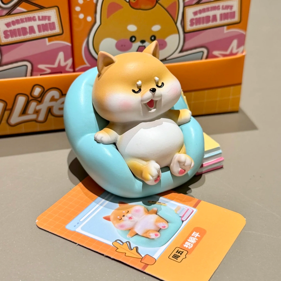 PUDOWRABBIT 6