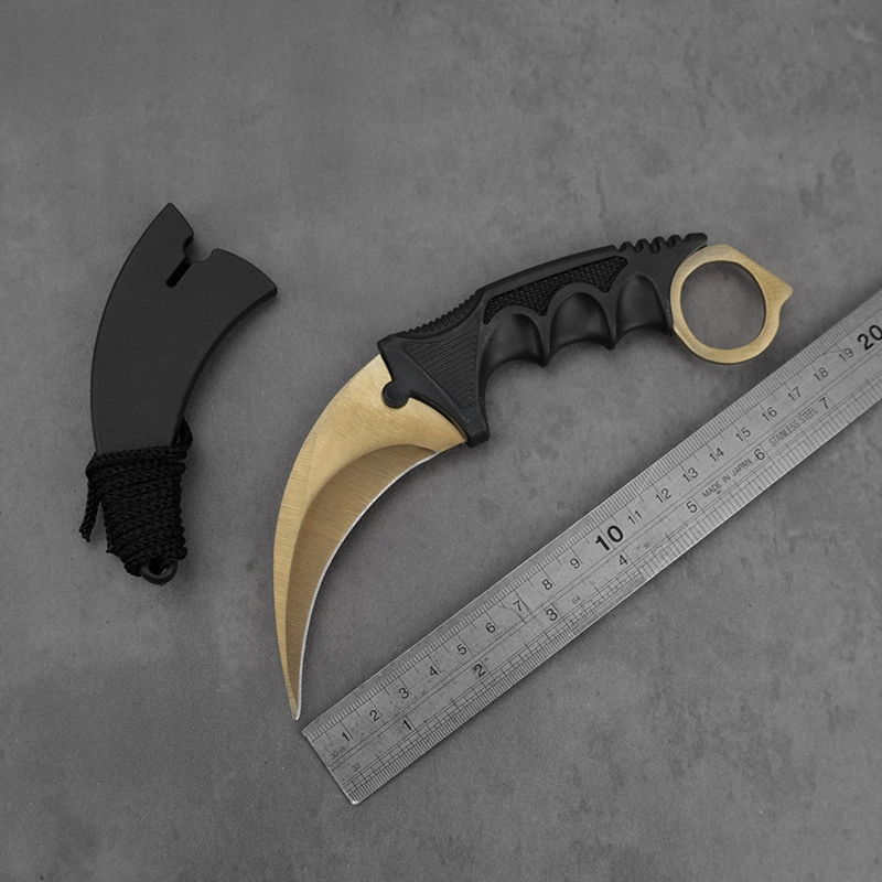 cs2