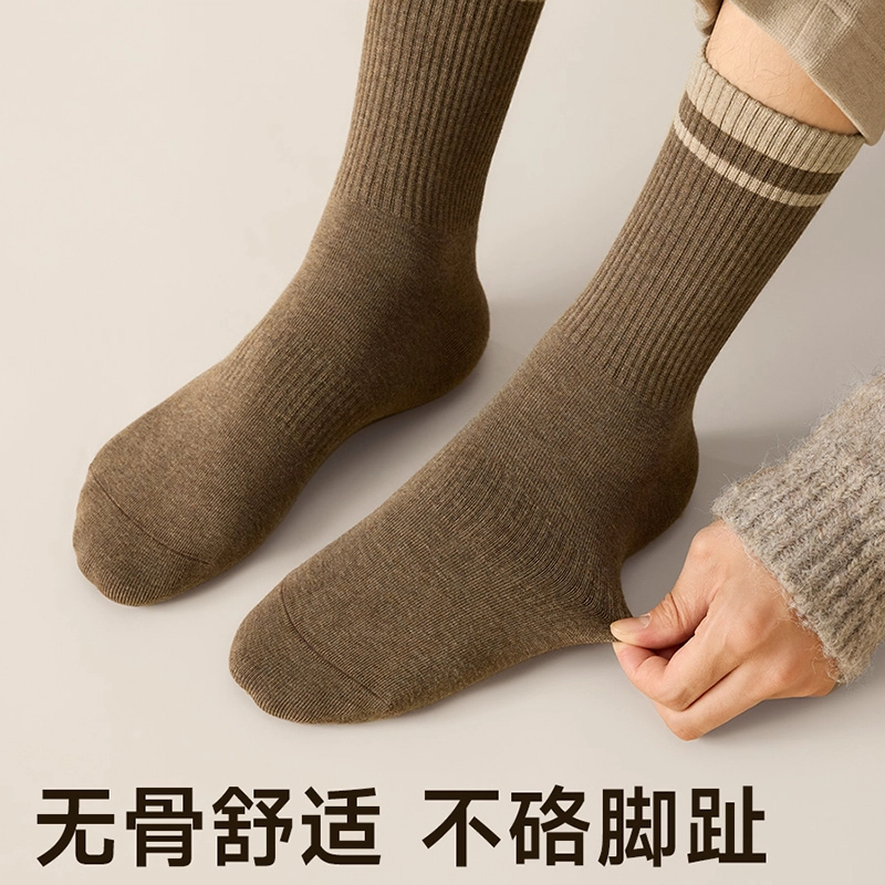 TLXT 10a