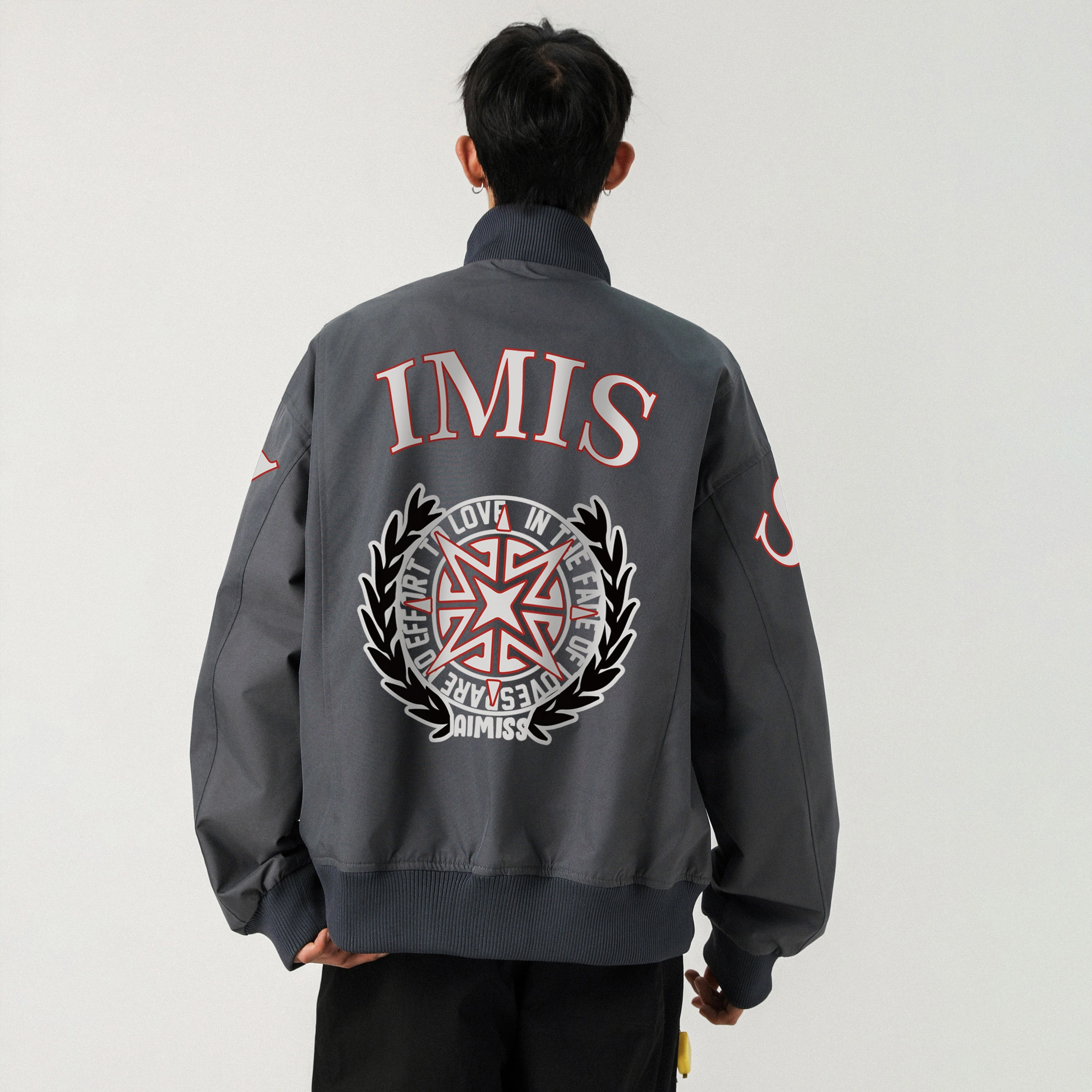 AIMISS LOGOins