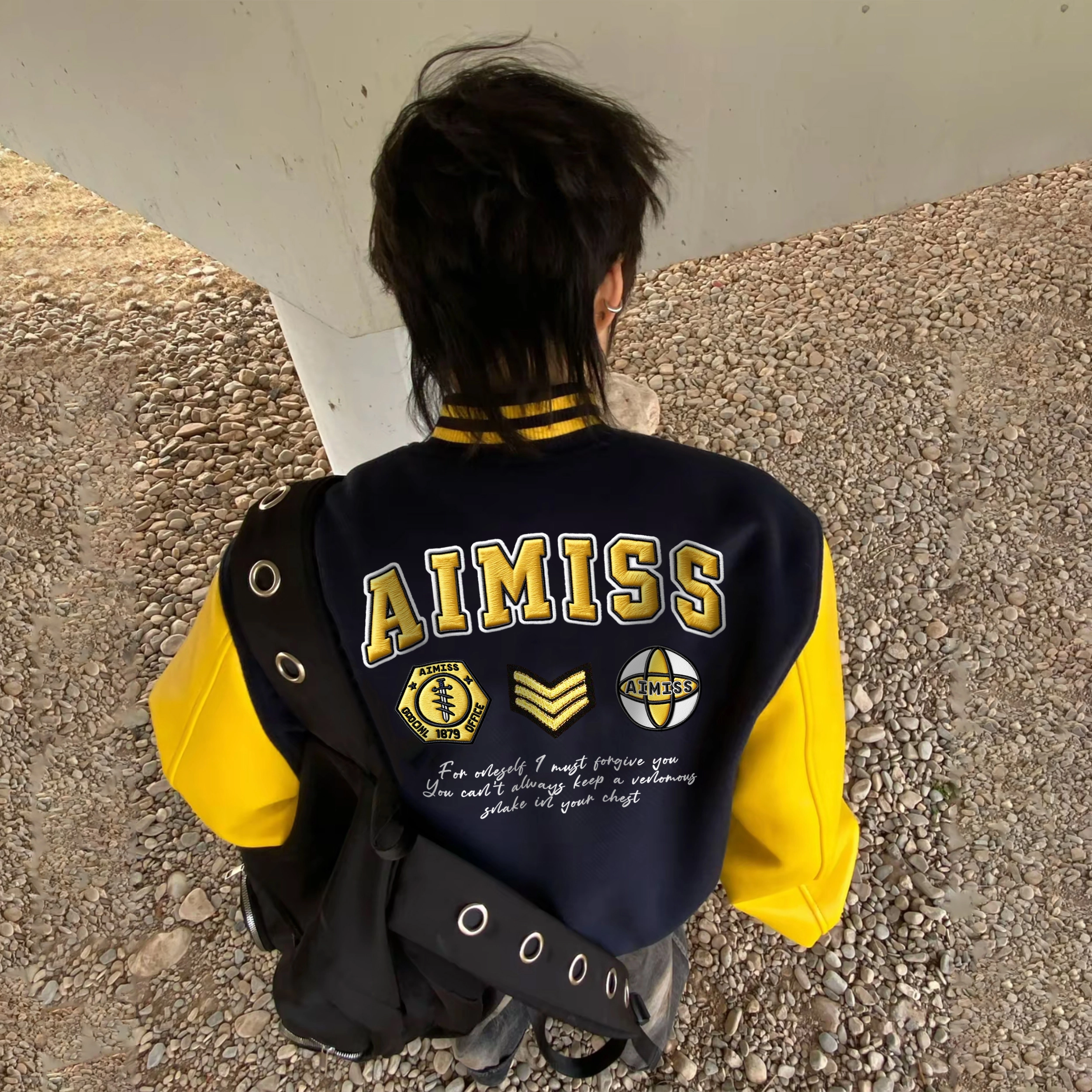 AIMISS LOGO