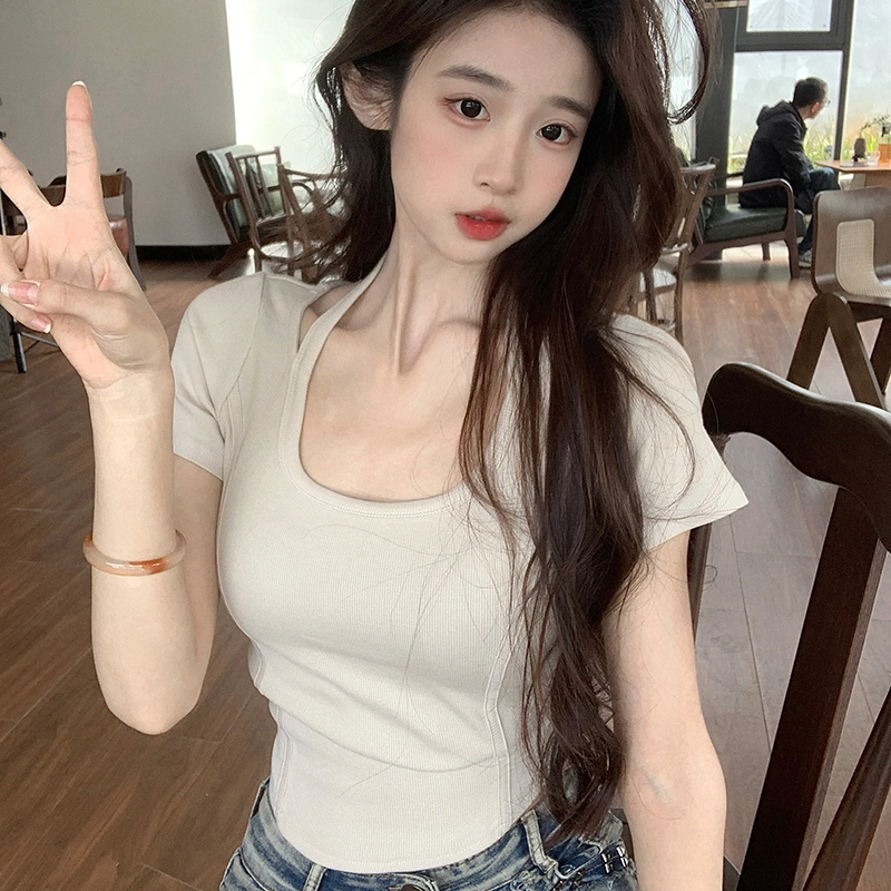 LAKESI T