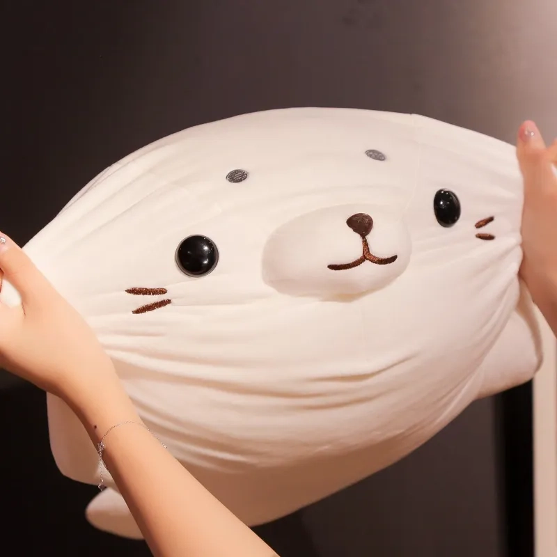 50cm