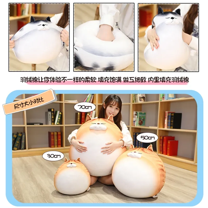 30cm50cm70cm