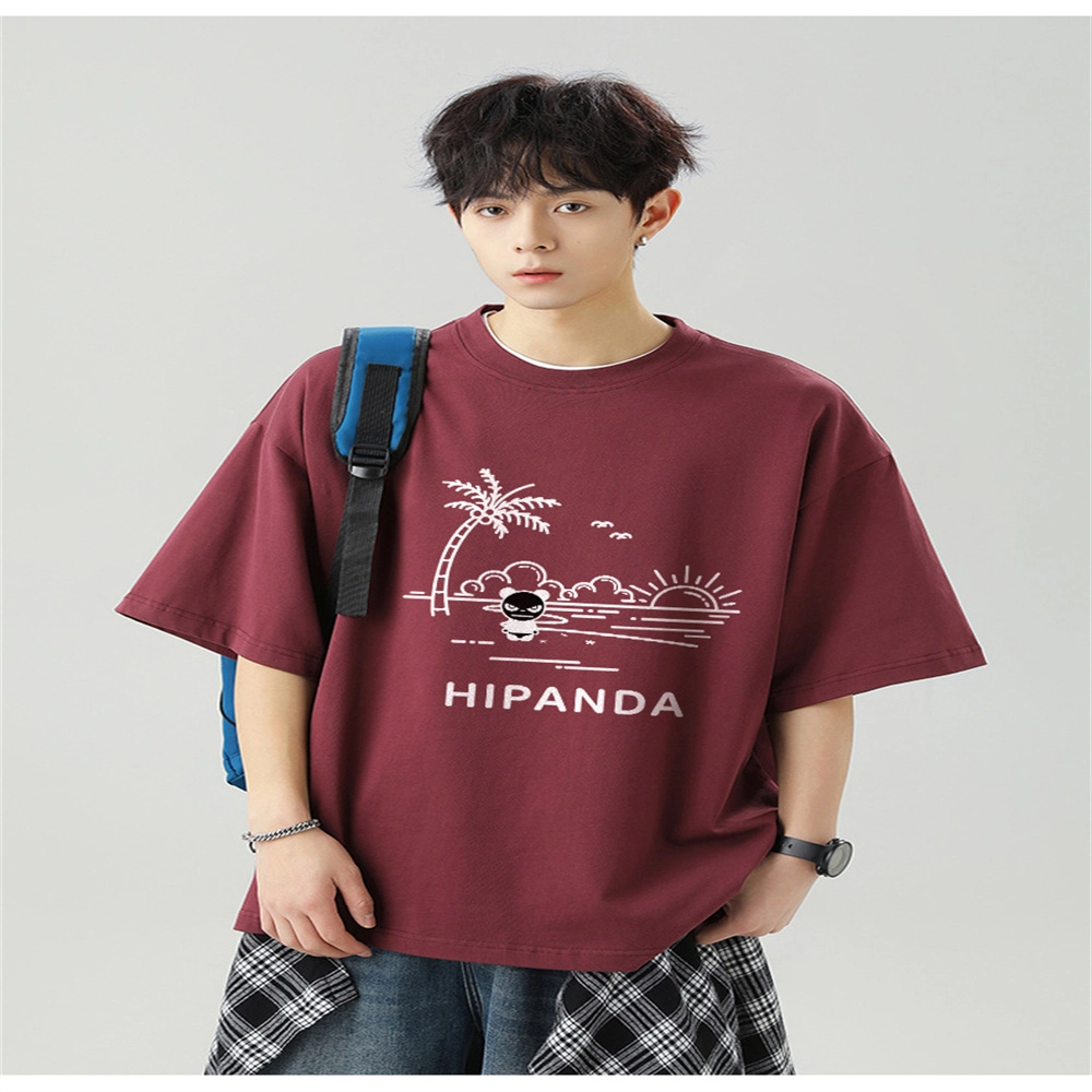 HIPANDA logoT