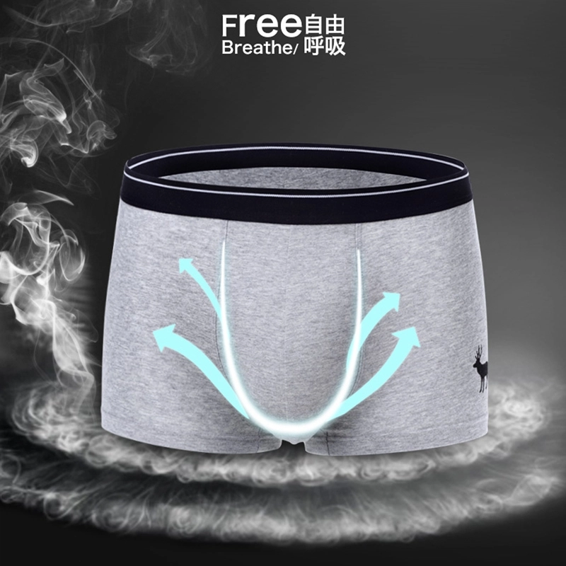 水中花 薄款纯棉短裤抗菌透气平角裤时尚四角裤头舒适大码内裤 男款