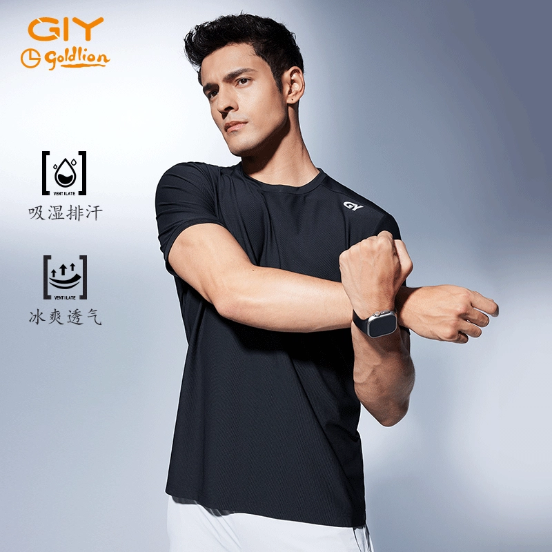 GY goldlion T