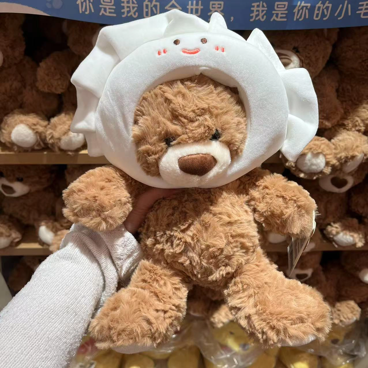 25cm35cm