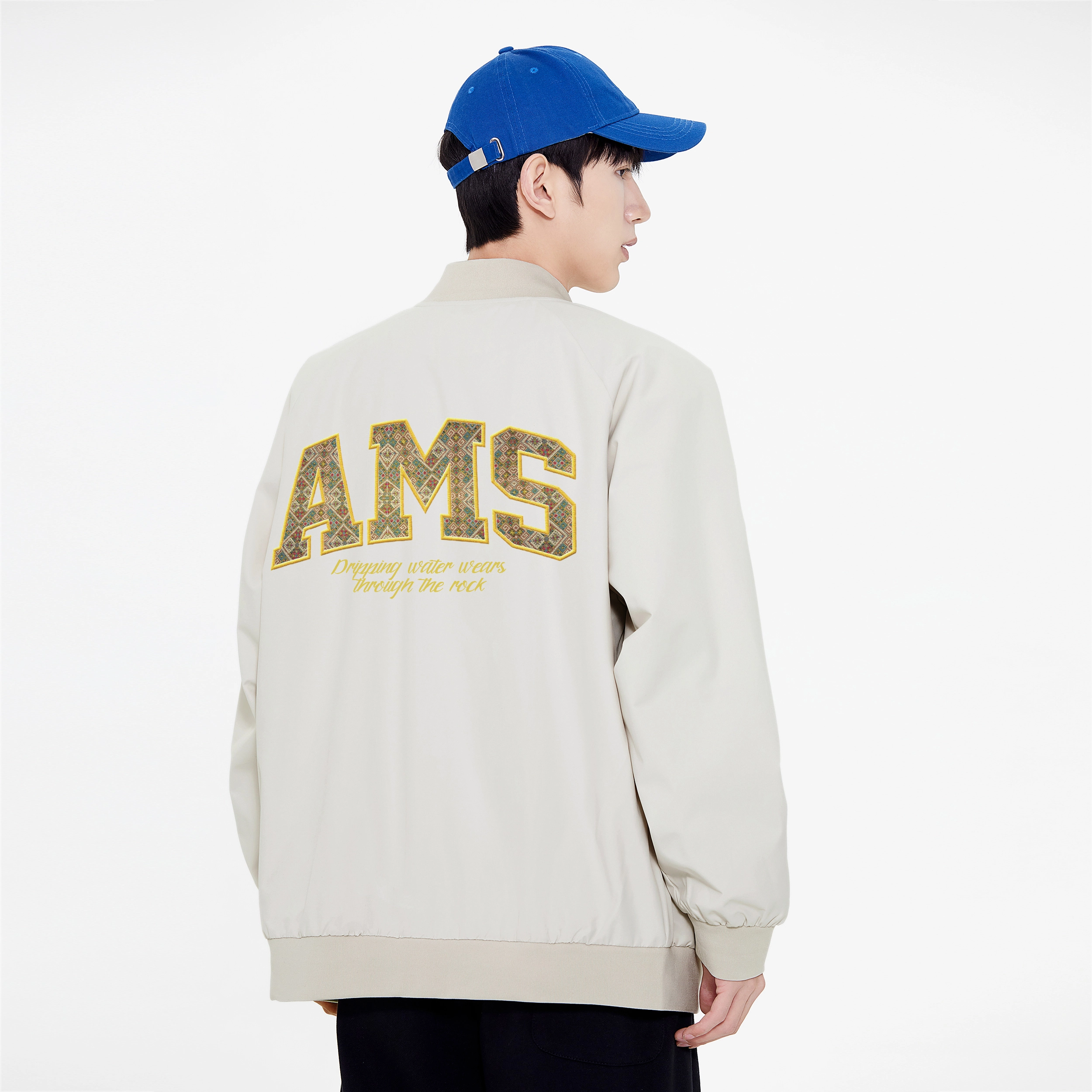 AIMISS Logo