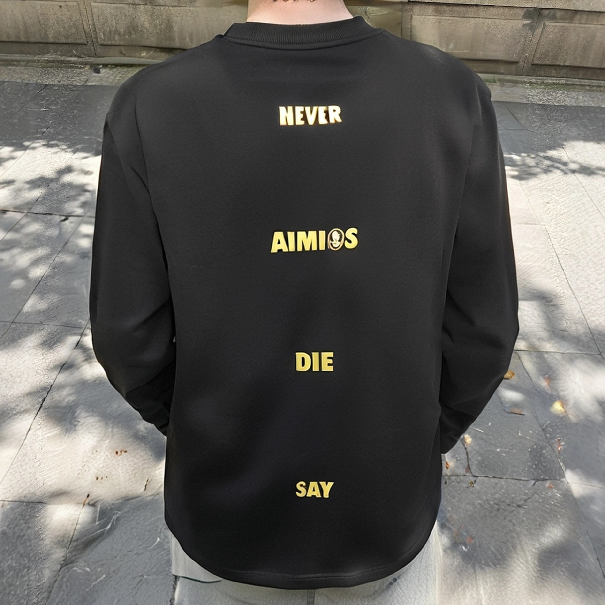 AIMISS logo