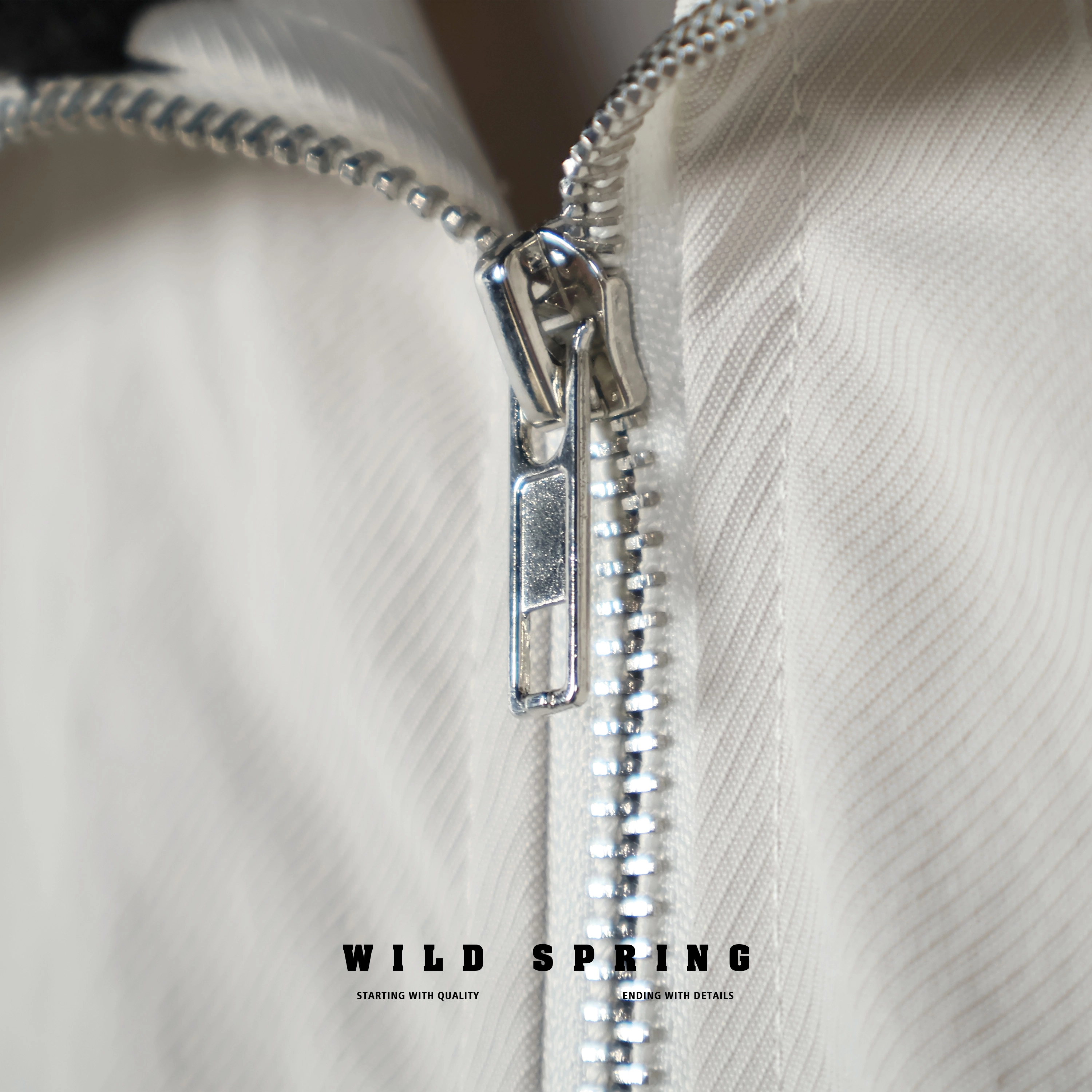 WILD SPRING