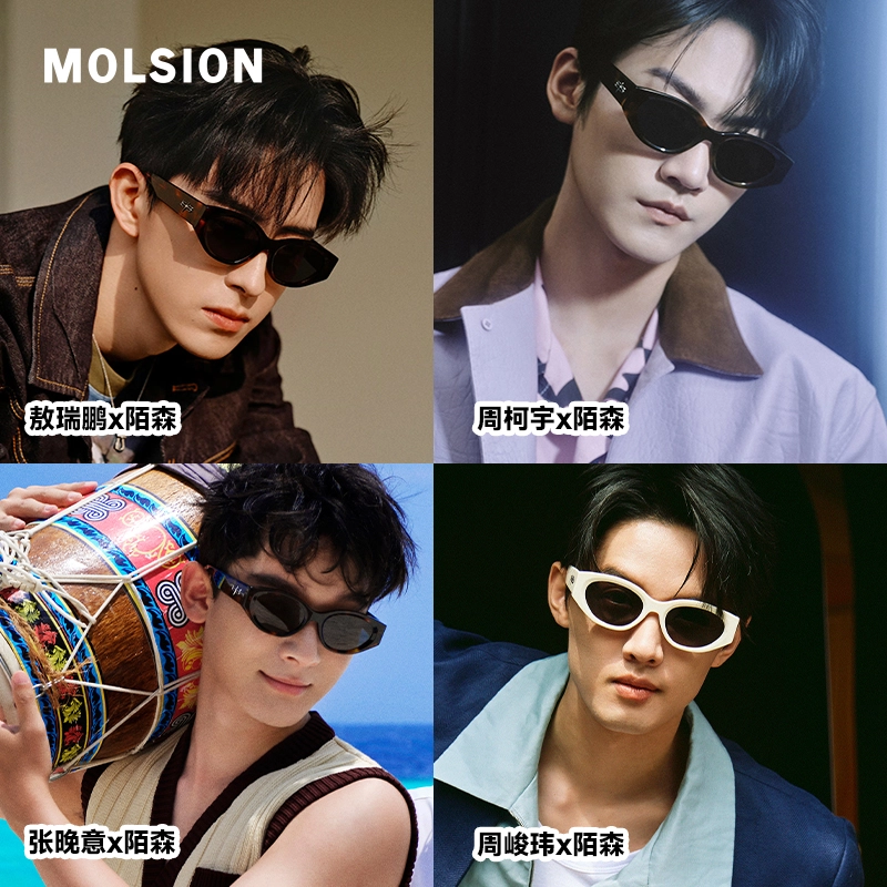 MOLSION
