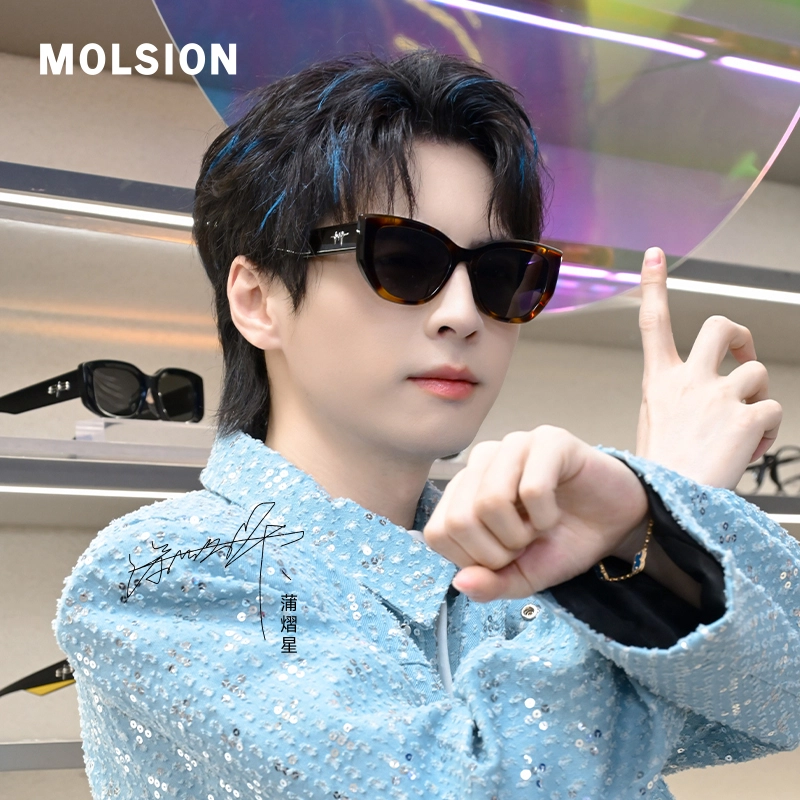 MOLSION