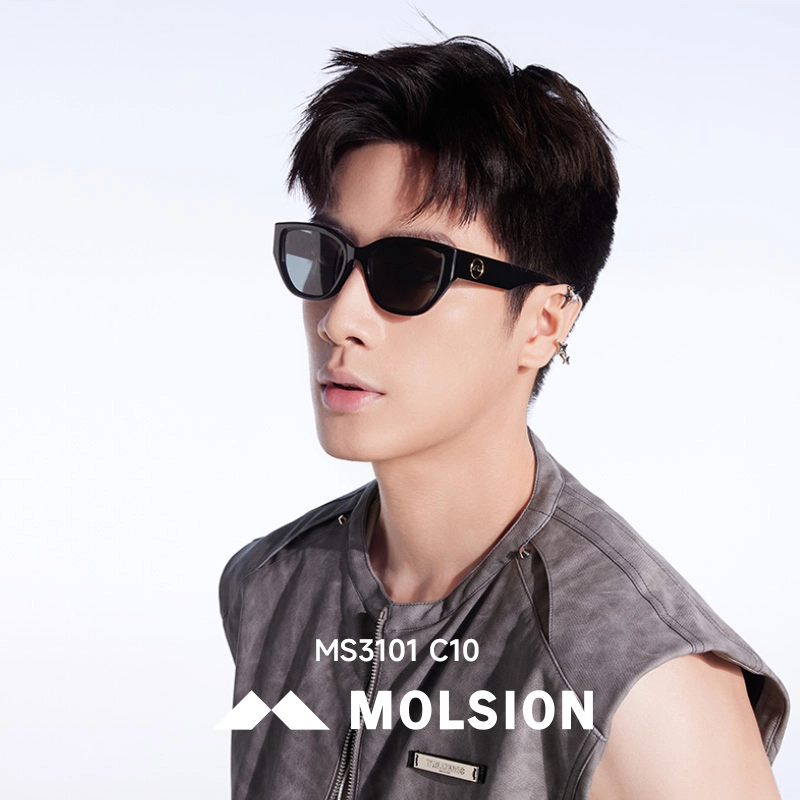 MOLSION