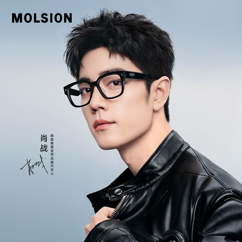 MOLSION