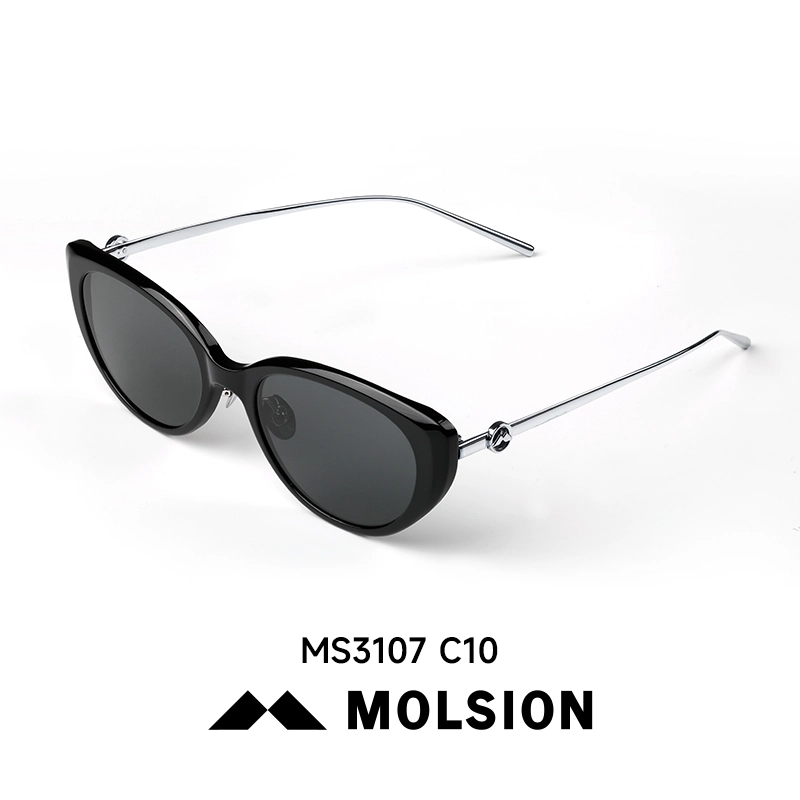 MOLSION