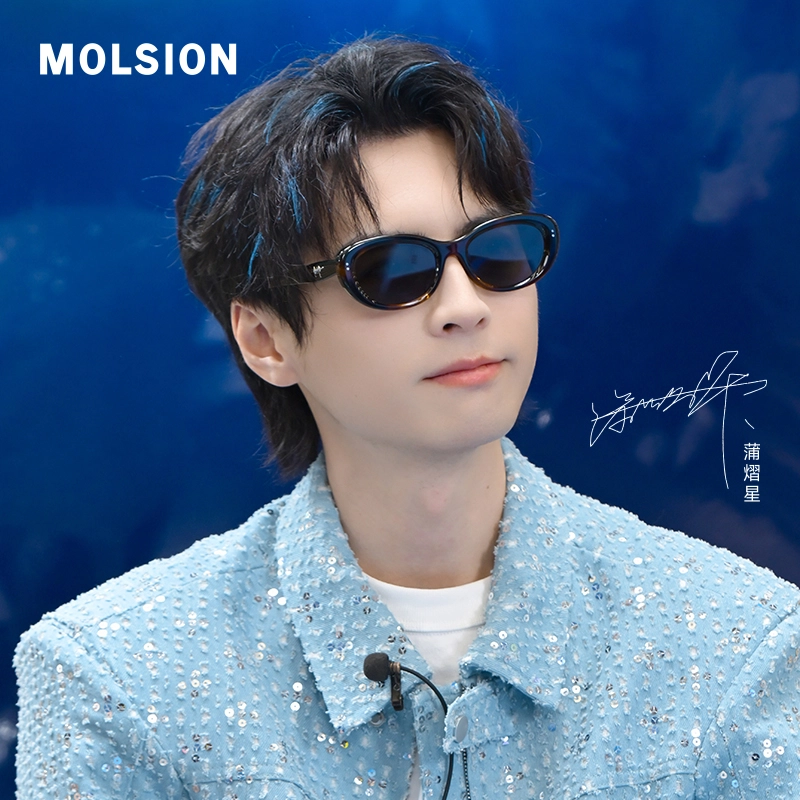 MOLSION