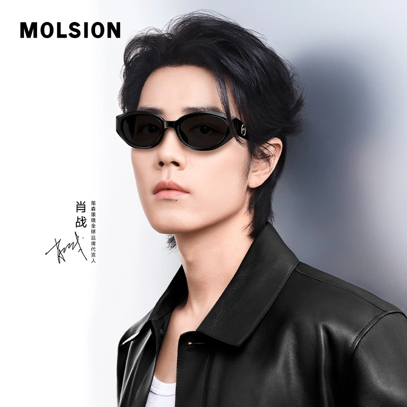 MOLSION