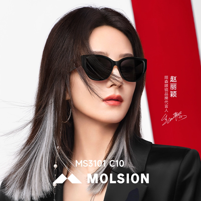 MOLSION