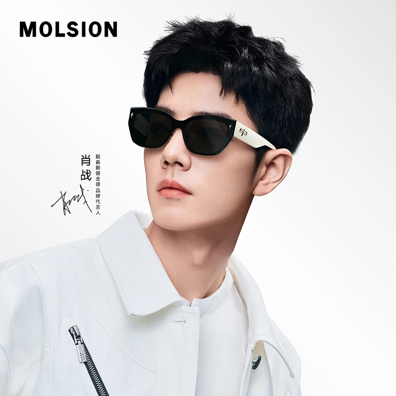 MOLSION