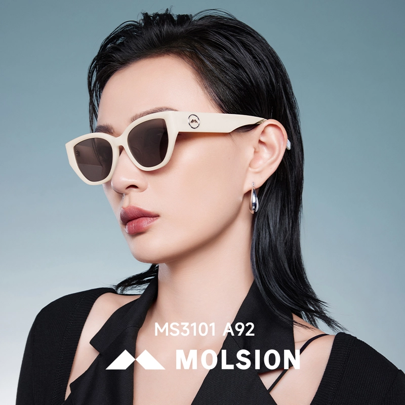MOLSION