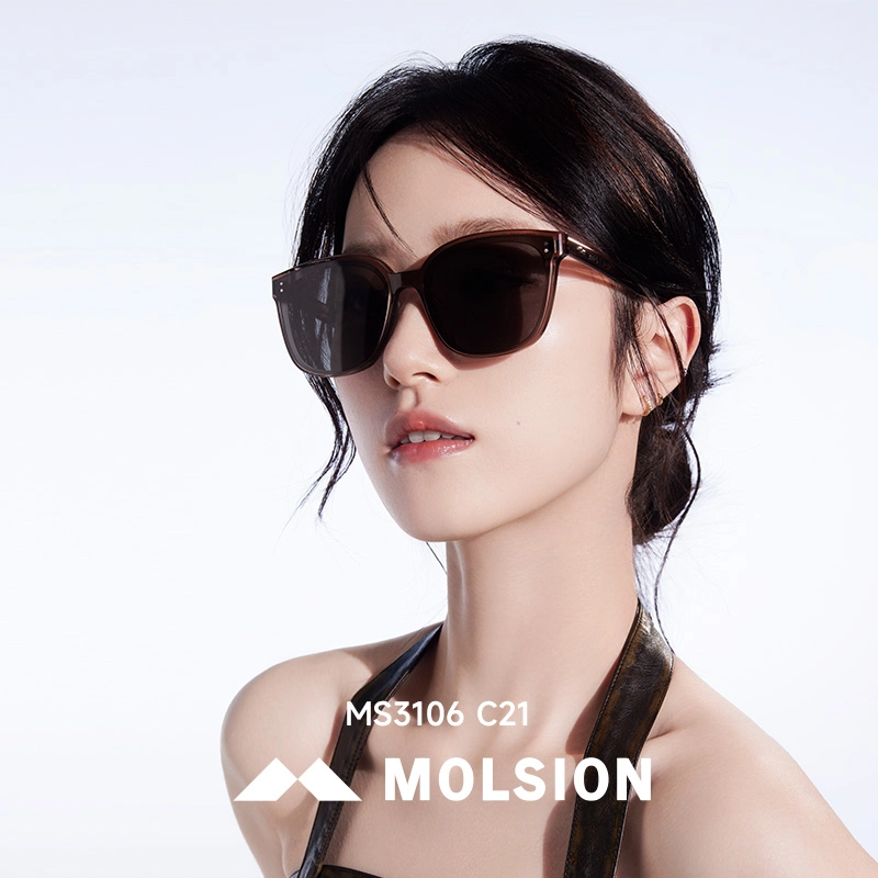 MOLSION