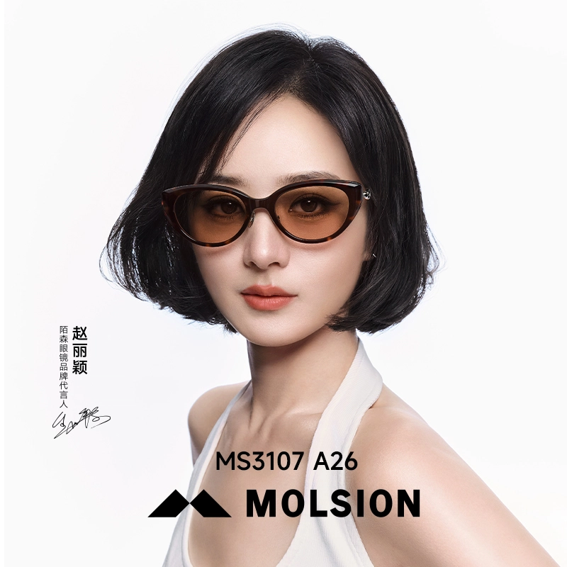 MOLSION