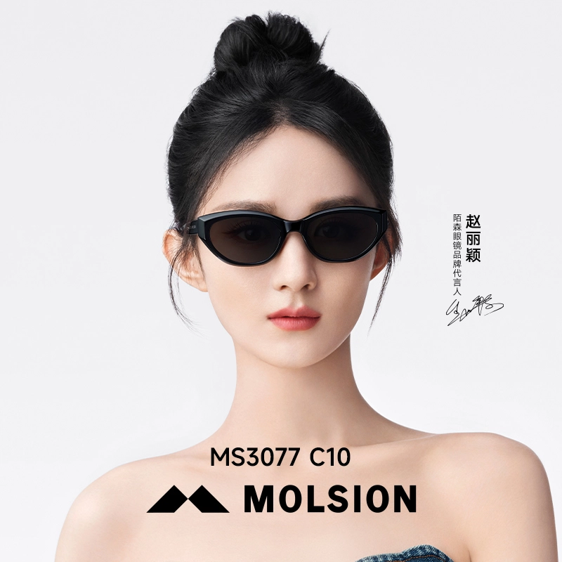 MOLSION
