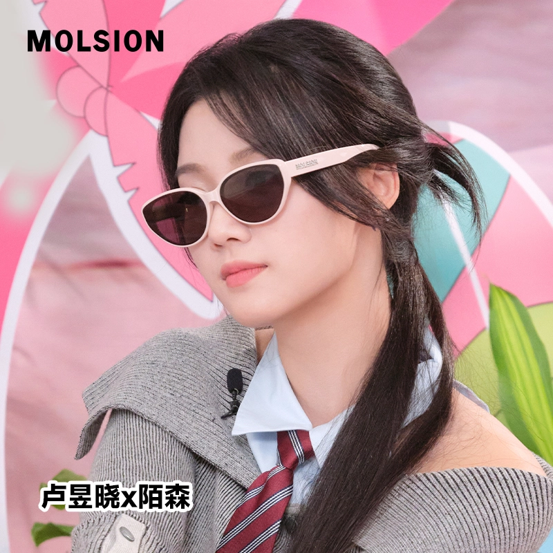 MOLSION