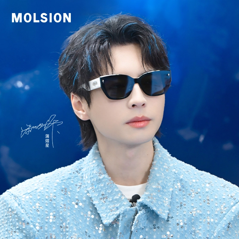 MOLSION logo TR