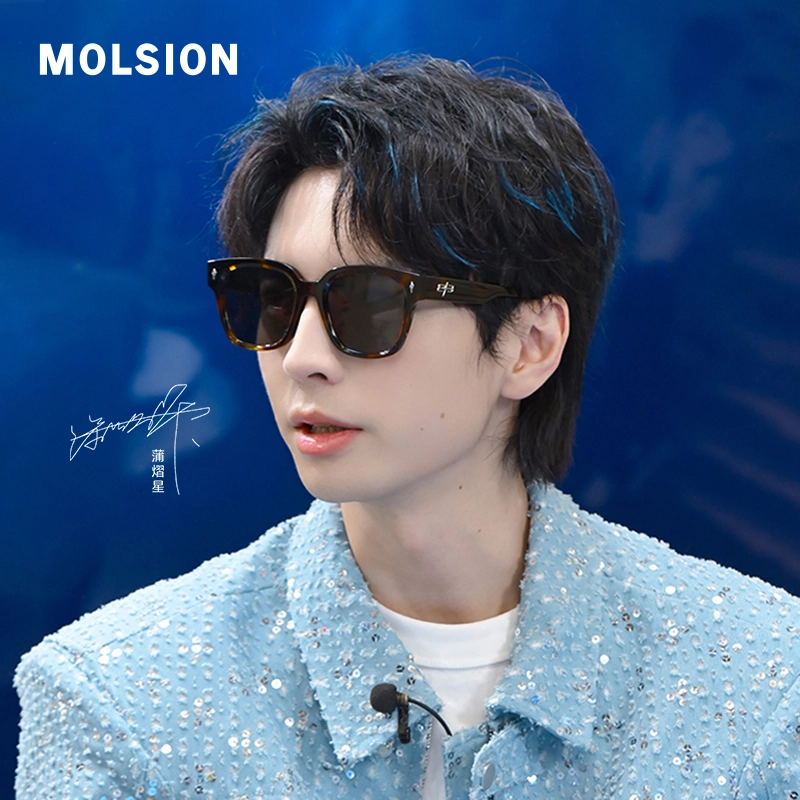 MOLSION
