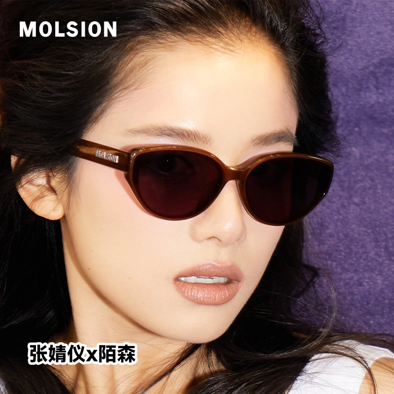 MOLSION