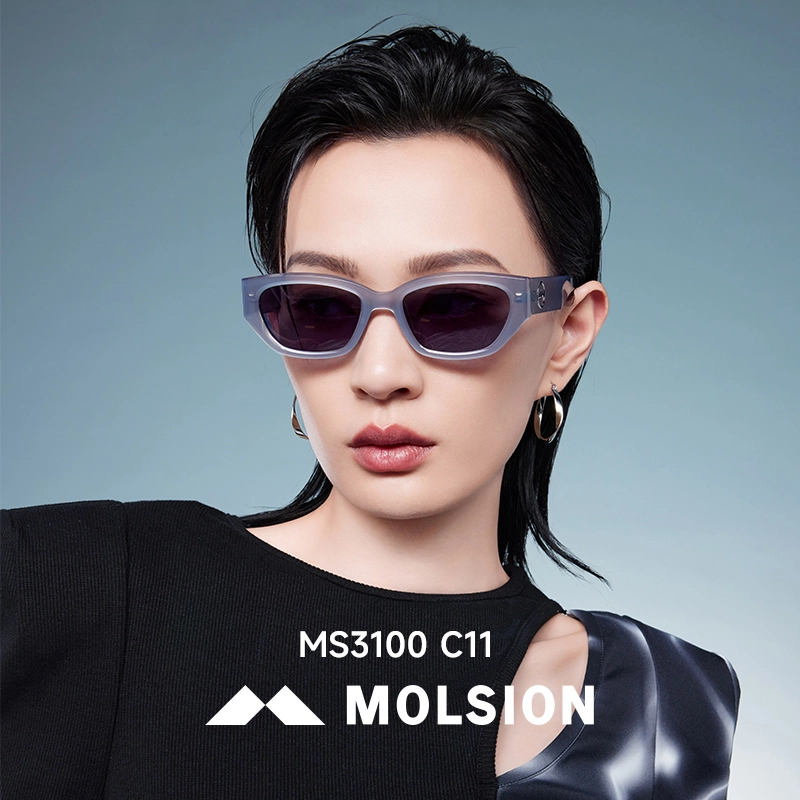 MOLSION