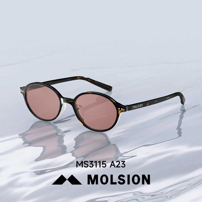 MOLSION