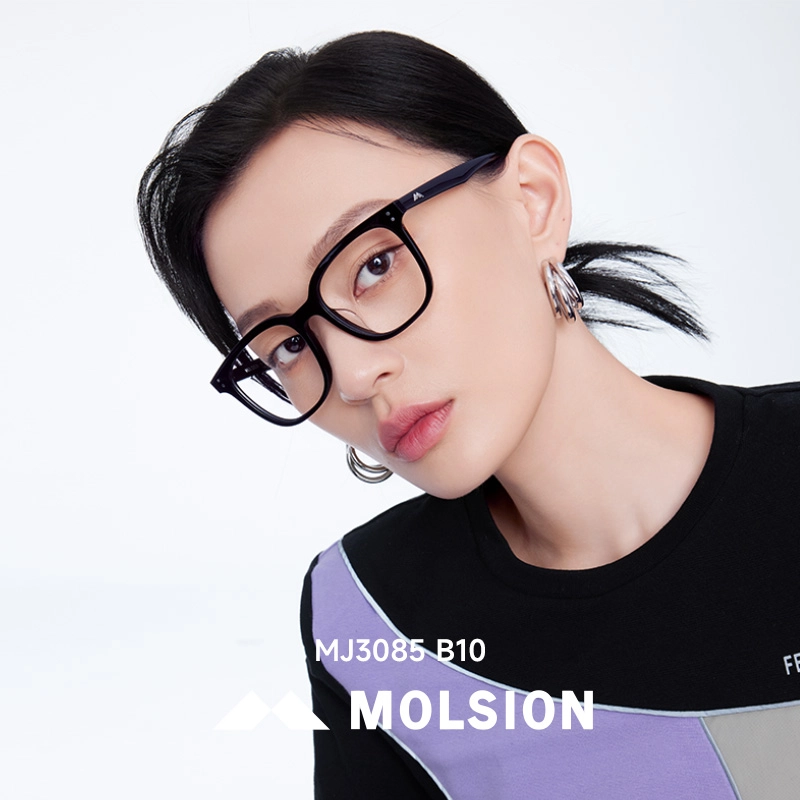 MOLSION