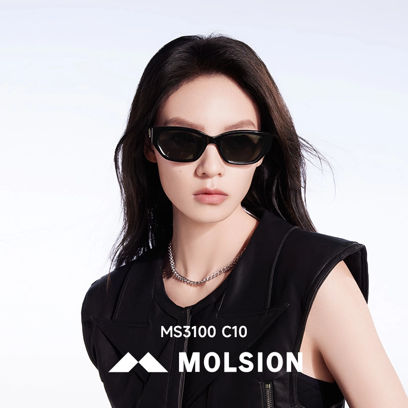 MOLSION