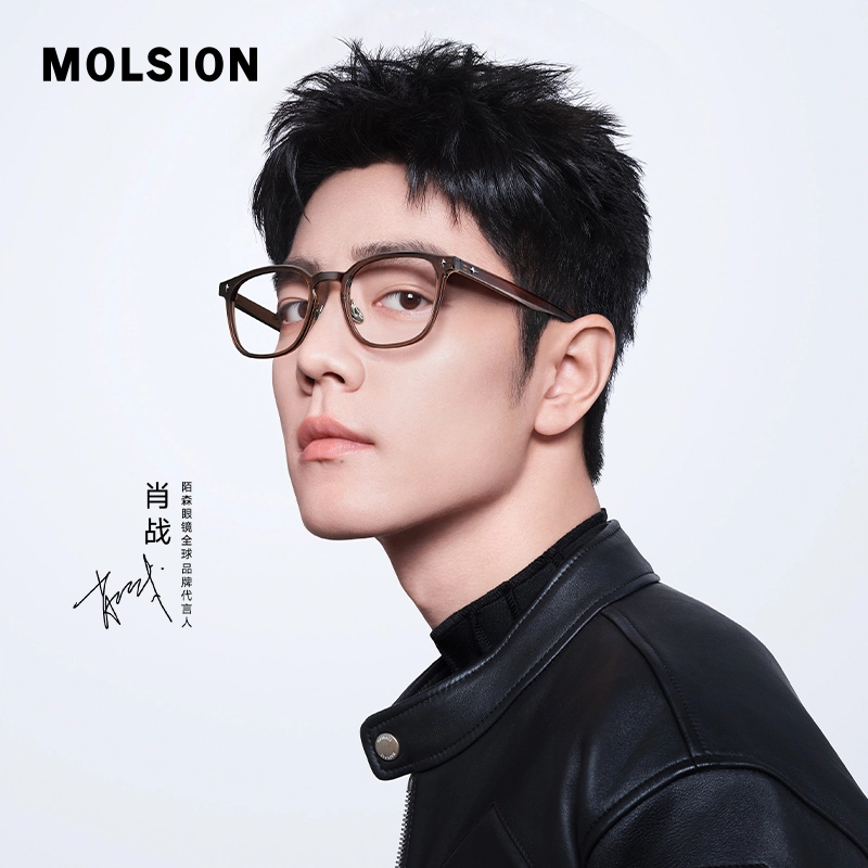 MOLSION