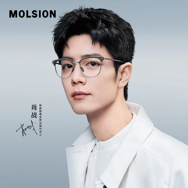 MOLSION