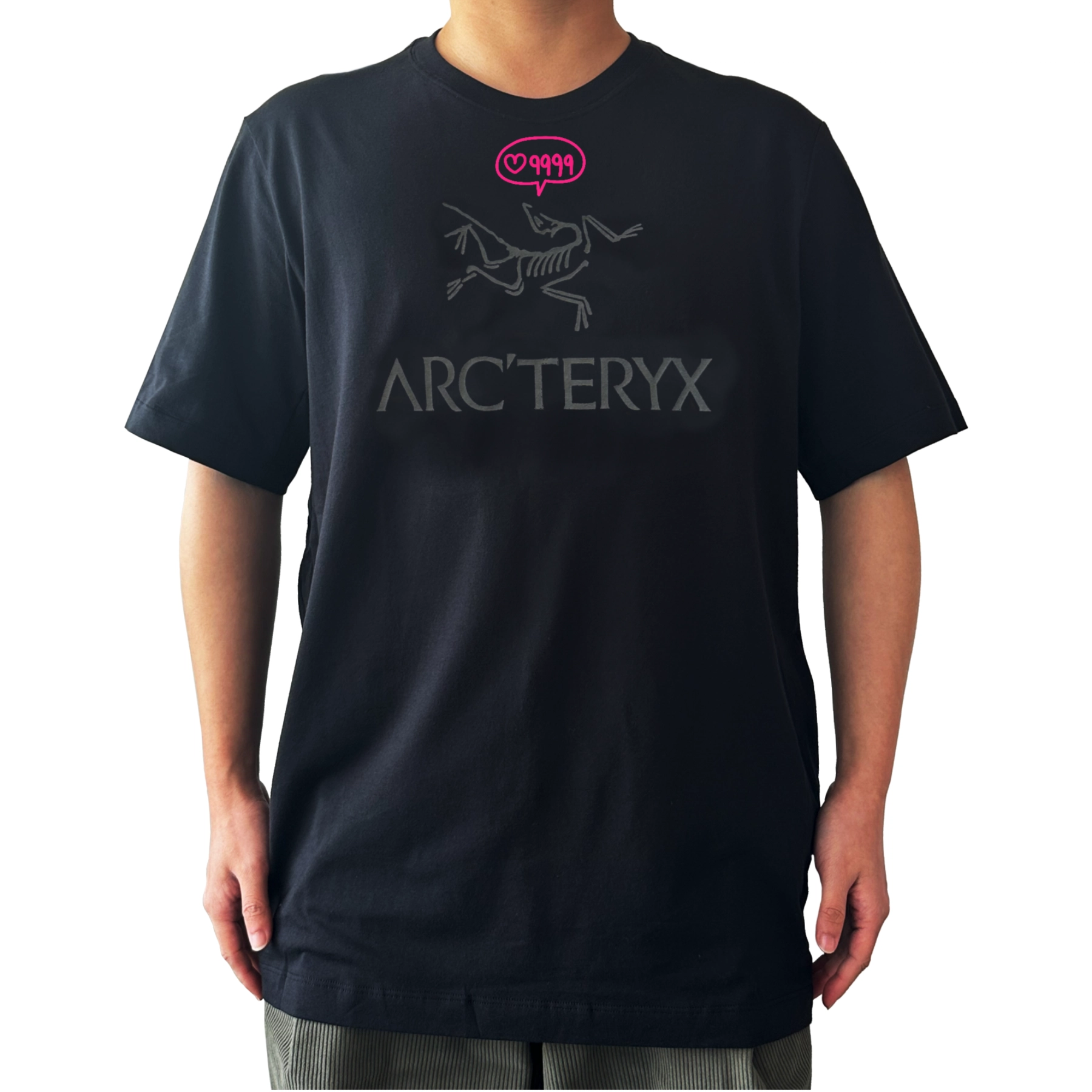Arcteryx ARCWORD9999logoT black